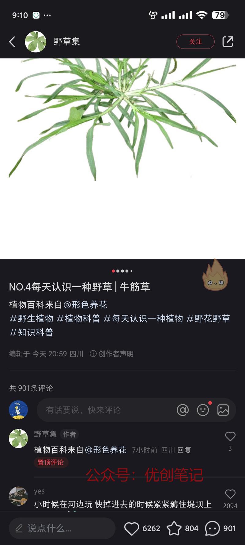 小红书植物科普账号，流…#情报-搞钱线报📢论坛-网创交流-优创圈